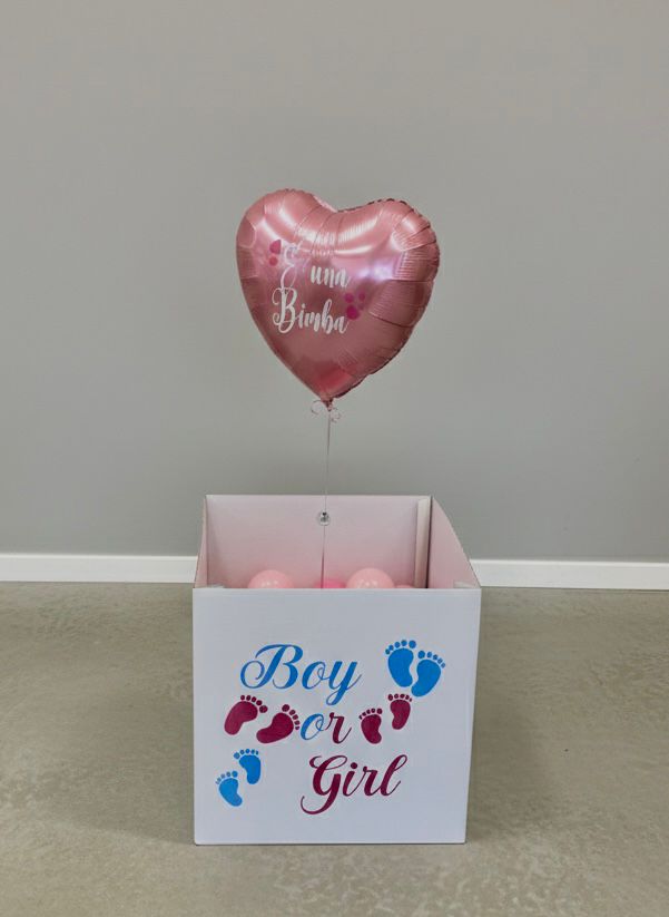 scatola gender reveal